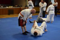 Bild (49)